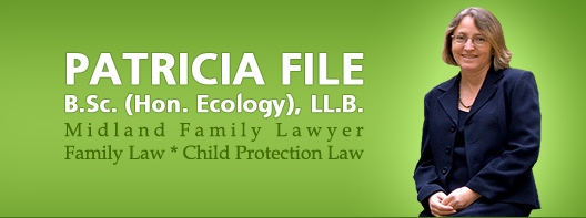 Patricia File Law Office